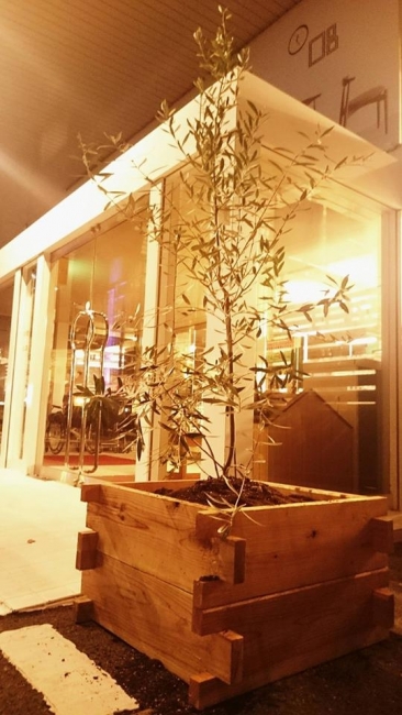 与次郎店にシンボルツリー登場。