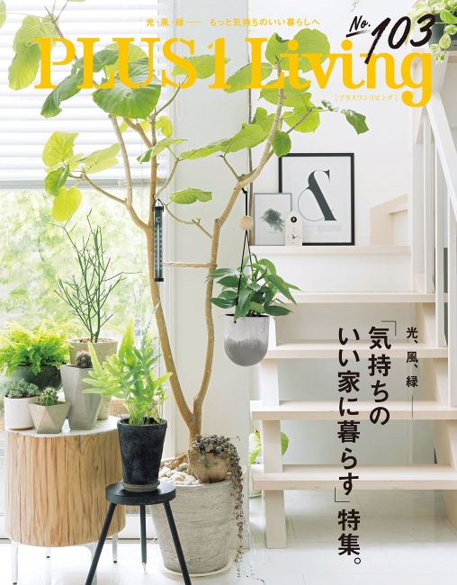【PLUS 1 LIVENG】にて紹介されました！