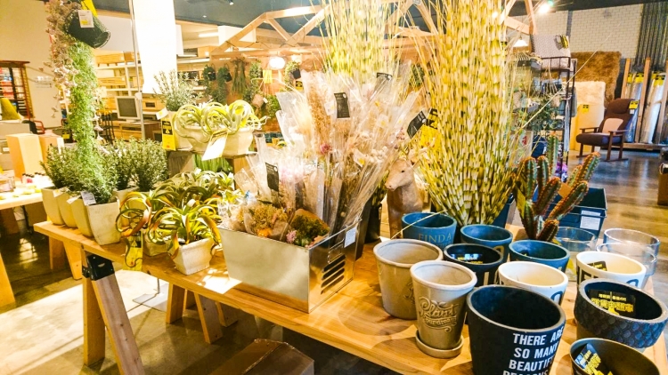 【与次郎店】雑貨半額市スタート！