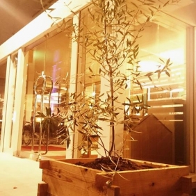 与次郎店にシンボルツリー登場。