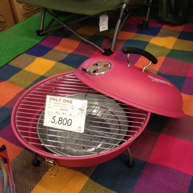 今年もレジャーグッズ入荷♪