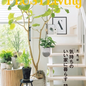 【PLUS 1 LIVENG】にて紹介されました！