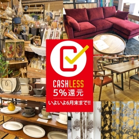 6月のお買い得情報お知らせ