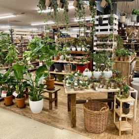 国分店新商品入荷＆レイアウト変更のお知らせ