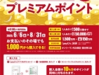 ペイどんプレミアムポイント