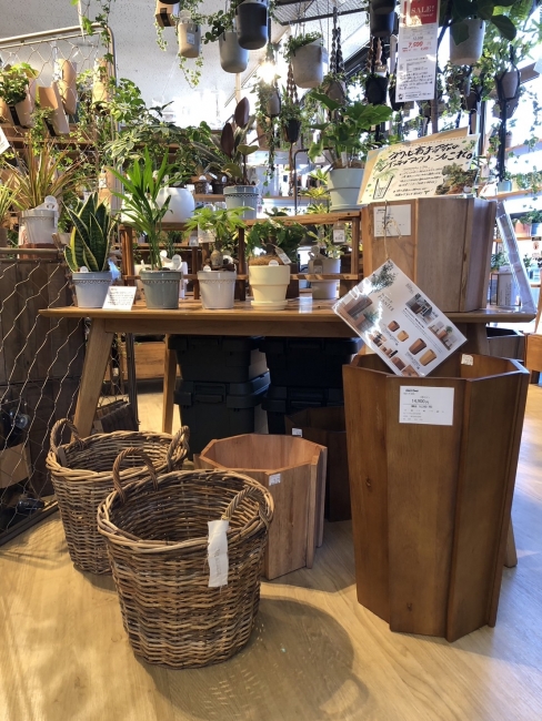 大型鉢カバー入荷
