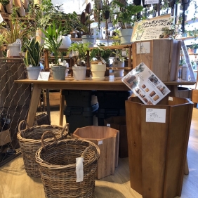 大型鉢カバー入荷